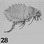 Insects and Beetles Pack - 60 pcs