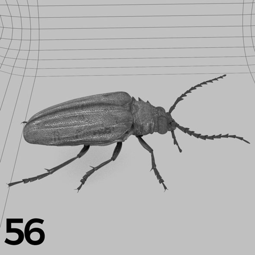 - pack bees insects model https://p.turbosquid.com/ts-thumb/0V/ktorqs/AU5z6H6A/insect_pack_56_b_w/jpg/1563750295/1920x1080/fit_q87/0a824435d55c9362cacb224244f220ec3cdb3721/insect_pack_56_b_w.jpg