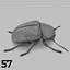 Insects and Beetles Pack - 60 pcs