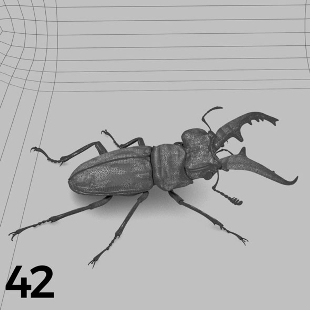 - pack bees insects model https://p.turbosquid.com/ts-thumb/0V/ktorqs/E0anQR7g/insect_pack_42_b_w/jpg/1563750294/1920x1080/fit_q87/5b7b02734d886d88ae086677aec2c29f66493aa4/insect_pack_42_b_w.jpg