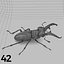 Insects and Beetles Pack - 60 pcs
