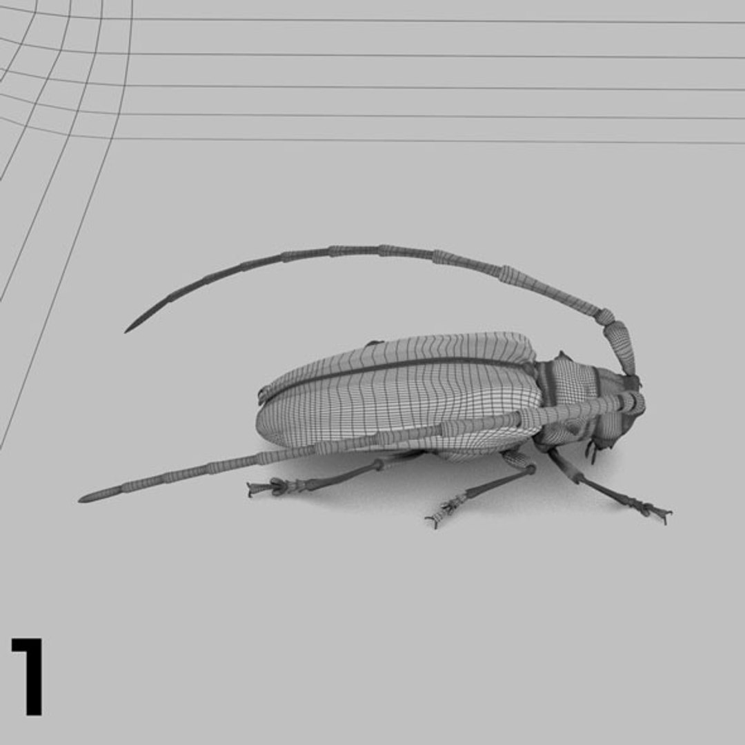 - pack bees insects model https://p.turbosquid.com/ts-thumb/0V/ktorqs/ExvJNTTb/insect_pack_01_b_w/jpg/1563750291/1920x1080/fit_q87/9871f3e85578aad6757723439afe30bc790fc48b/insect_pack_01_b_w.jpg