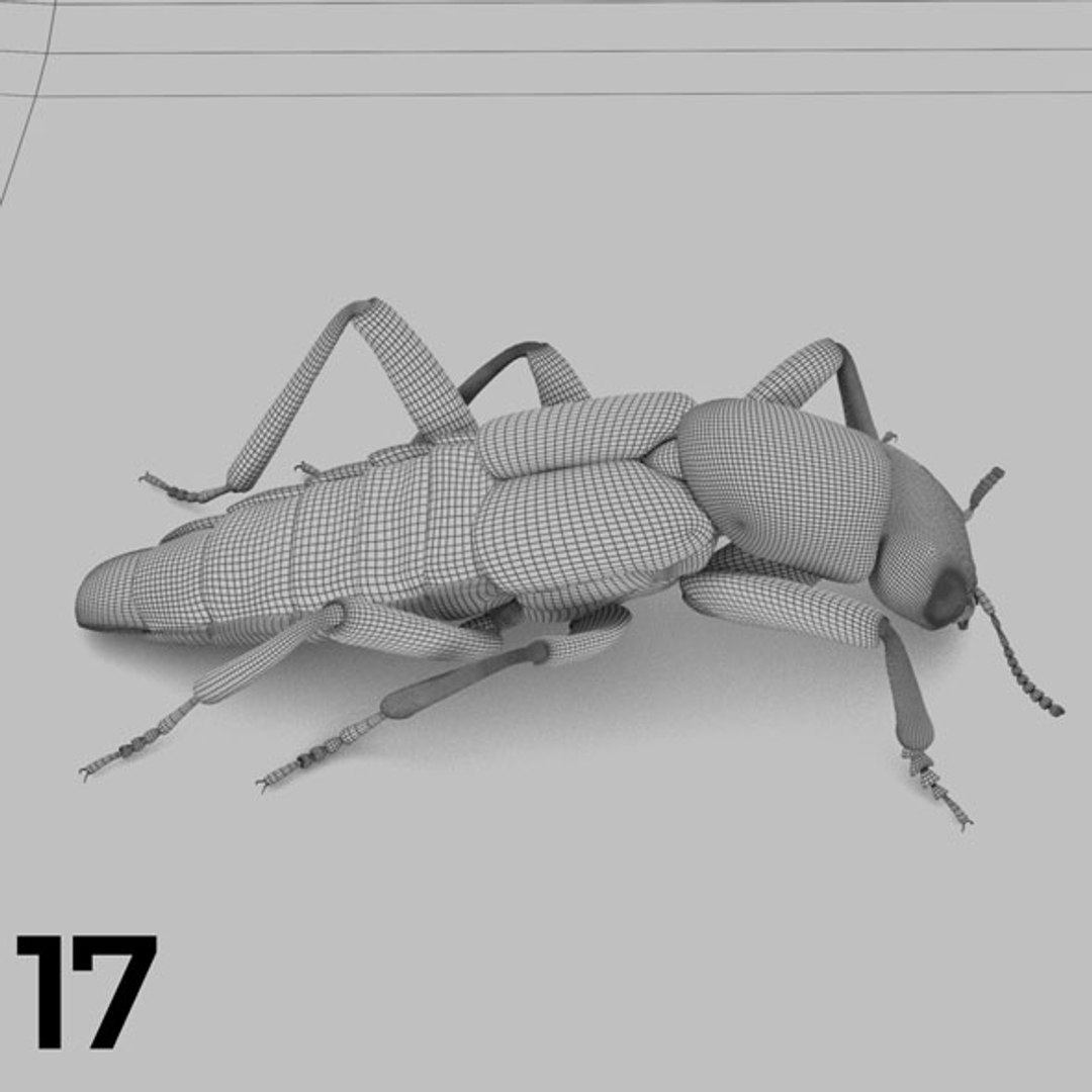 - pack bees insects model https://p.turbosquid.com/ts-thumb/0V/ktorqs/GXMG0YZz/insect_pack_17_b_w/jpg/1563750292/1920x1080/fit_q87/9c8591d0ae074ca26abcc259937d6022d125a305/insect_pack_17_b_w.jpg