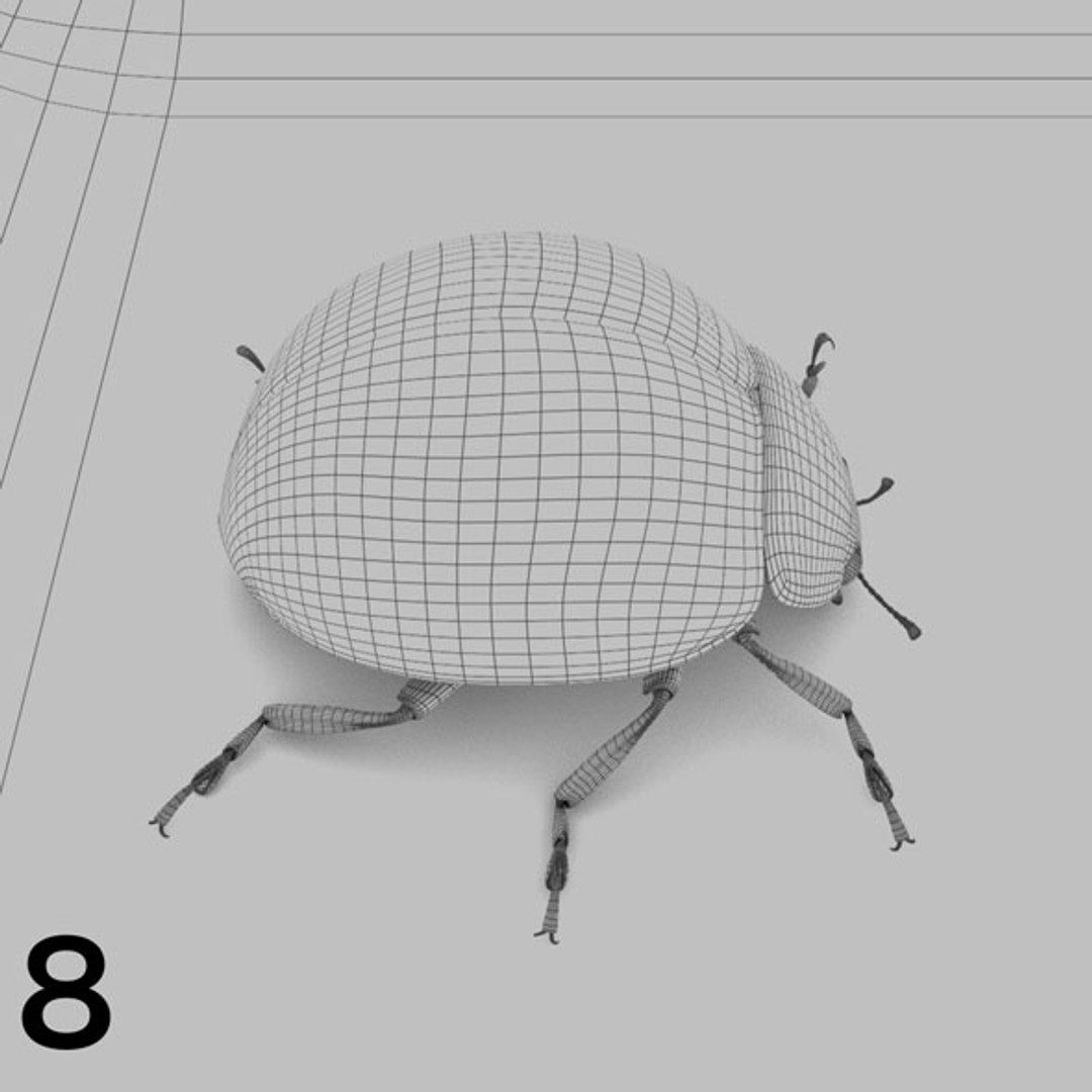 - pack bees insects model https://p.turbosquid.com/ts-thumb/0V/ktorqs/Jba3fShT/insect_pack_08_b_w/jpg/1563750291/1920x1080/fit_q87/3697220fde7094deb806711fabf74163215fc0fd/insect_pack_08_b_w.jpg