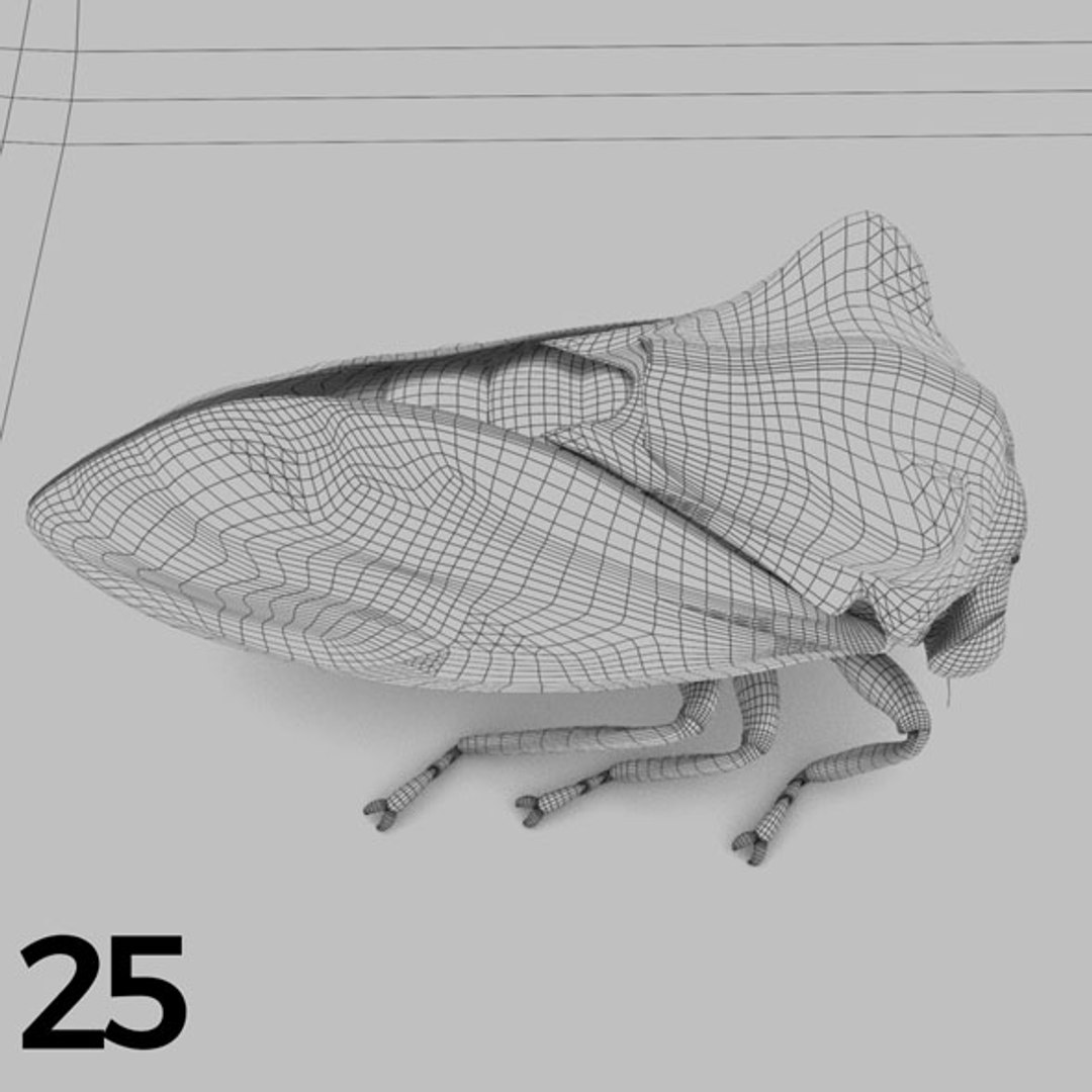 - pack bees insects model https://p.turbosquid.com/ts-thumb/0V/ktorqs/JnWFOG5g/insect_pack_25_b_w/jpg/1563750292/1920x1080/fit_q87/c3eceba3e3839a2cb448219ee36f870790572a45/insect_pack_25_b_w.jpg