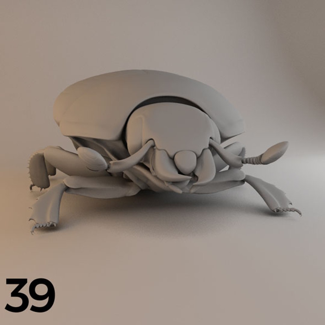 - pack bees insects model https://p.turbosquid.com/ts-thumb/0V/ktorqs/JpgjVqea/insect_pack_39_a_d/jpg/1563750293/1920x1080/fit_q87/7aed4db0915fffe4780c375e442f7af0bb5cef06/insect_pack_39_a_d.jpg