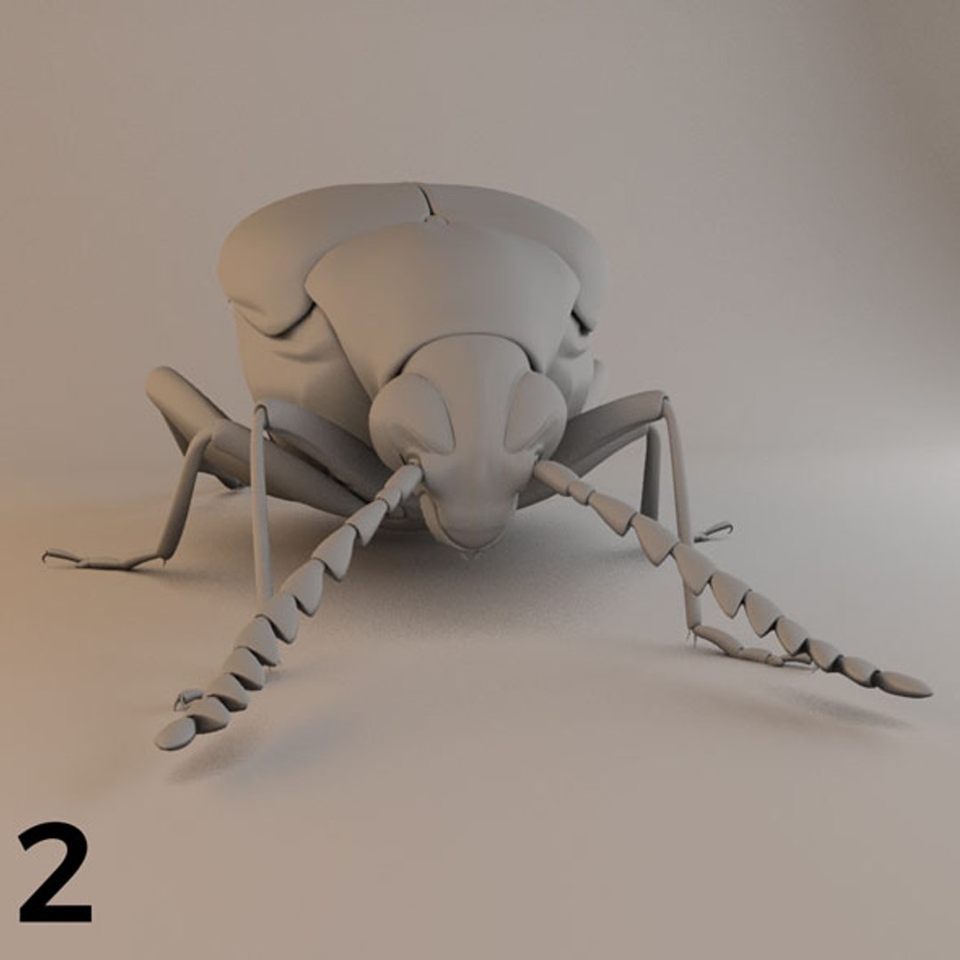 - pack bees insects model https://p.turbosquid.com/ts-thumb/0V/ktorqs/KAzEgvBt/insect_pack_02_a_d/jpg/1563750291/1920x1080/fit_q87/93553e6747f621b368a5559f52ab0103045059cf/insect_pack_02_a_d.jpg