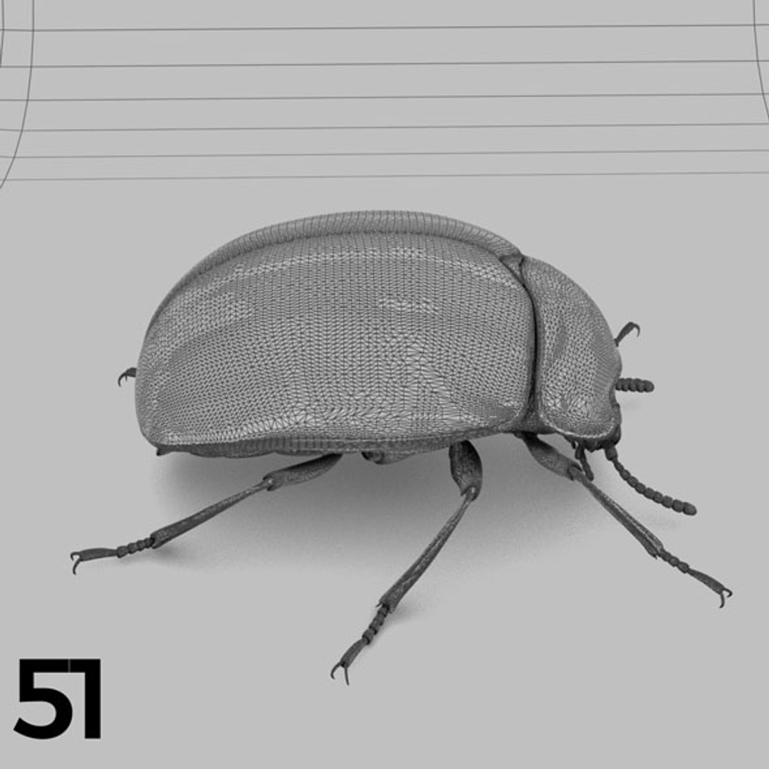 - pack bees insects model https://p.turbosquid.com/ts-thumb/0V/ktorqs/OtM7EphT/insect_pack_51_b_w/jpg/1563750294/1920x1080/fit_q87/2e108df05df702f94f8f4285103624afb02a4a06/insect_pack_51_b_w.jpg