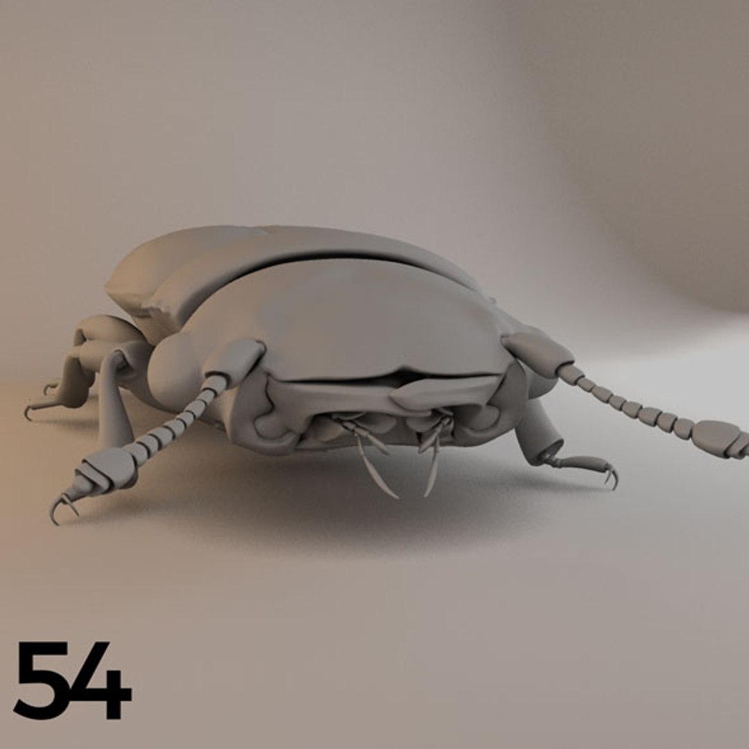 - pack bees insects model https://p.turbosquid.com/ts-thumb/0V/ktorqs/VuxOqrgM/insect_pack_54_a_d/jpg/1563750295/1920x1080/fit_q87/bea4c23d519d485728e873b66d884d82011a62eb/insect_pack_54_a_d.jpg