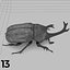 Insects and Beetles Pack - 60 pcs