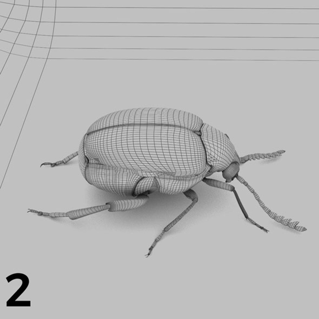 - pack bees insects model https://p.turbosquid.com/ts-thumb/0V/ktorqs/YUbsOFPy/insect_pack_02_b_w/jpg/1563750291/1920x1080/fit_q87/c6b171fdbd18ce2b3e390746197ab9f109257c5f/insect_pack_02_b_w.jpg