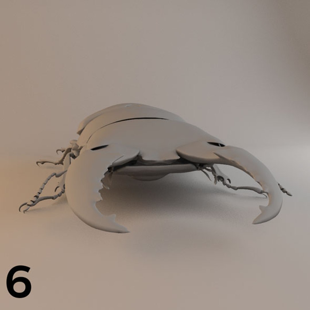 - pack bees insects model https://p.turbosquid.com/ts-thumb/0V/ktorqs/Ygzz5dOn/insect_pack_06_a_d/jpg/1563750291/1920x1080/fit_q87/1ef37d7bdcf19169ace2680d16ec15305b25e21a/insect_pack_06_a_d.jpg