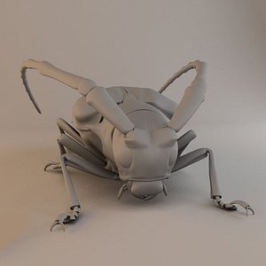 Insects and Beetles Pack - 60 pcs