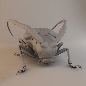 Insects and Beetles Pack - 60 pcs