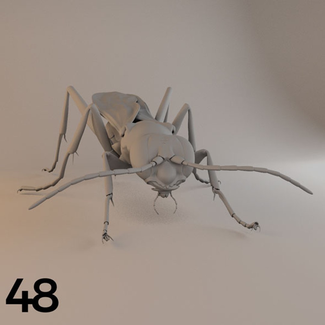 - pack bees insects model https://p.turbosquid.com/ts-thumb/0V/ktorqs/bghFd6R3/insect_pack_48_a_d/jpg/1563750294/1920x1080/fit_q87/04214a23347a9680d7de835ab4726951c8eae267/insect_pack_48_a_d.jpg
