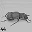 Insects and Beetles Pack - 60 pcs