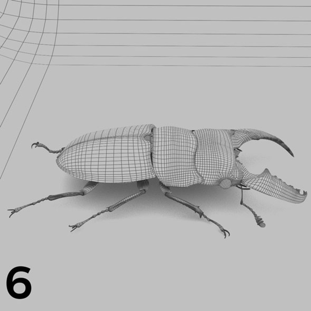 - pack bees insects model https://p.turbosquid.com/ts-thumb/0V/ktorqs/fdREUioM/insect_pack_06_b_w/jpg/1563750291/1920x1080/fit_q87/9682b55c4a56053be12fcc7148f7f393749e5e16/insect_pack_06_b_w.jpg