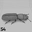 Insects and Beetles Pack - 60 pcs