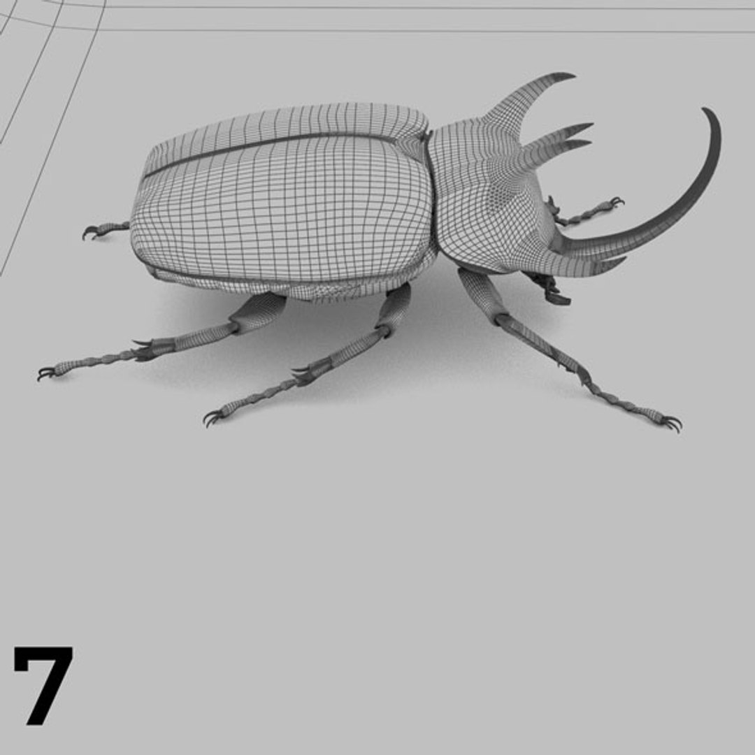 - pack bees insects model https://p.turbosquid.com/ts-thumb/0V/ktorqs/huhop0Tg/insect_pack_07_b_w/jpg/1563750291/1920x1080/fit_q87/05de96796ccc77d5071f161c34234f0937c51e93/insect_pack_07_b_w.jpg