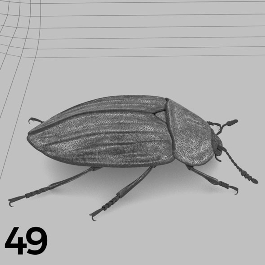 - pack bees insects model https://p.turbosquid.com/ts-thumb/0V/ktorqs/hyn9y14X/insect_pack_49_b_w/jpg/1563750294/1920x1080/fit_q87/ee41d7ef733a94fb4eef4430e71a660199dba520/insect_pack_49_b_w.jpg