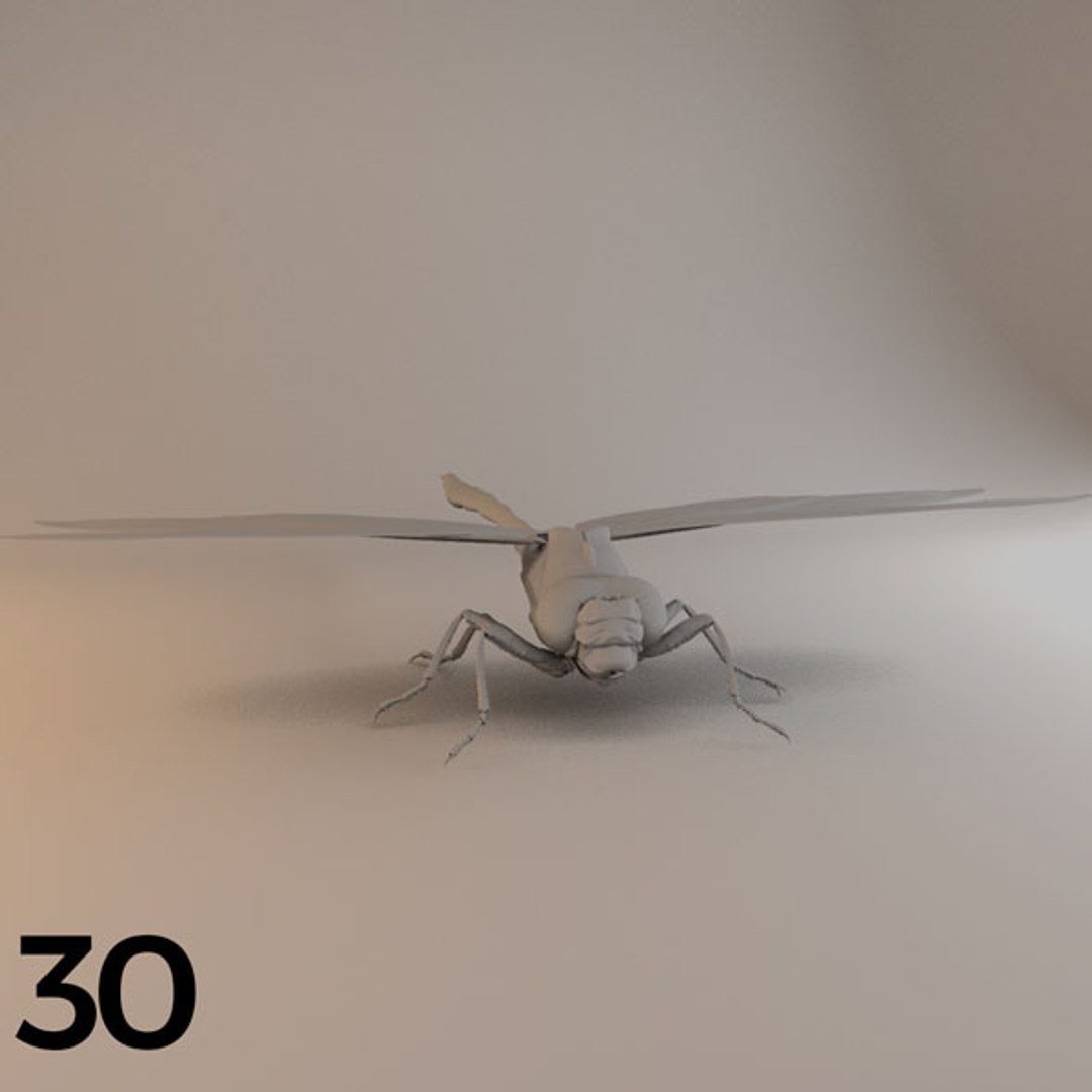 - pack bees insects model https://p.turbosquid.com/ts-thumb/0V/ktorqs/i3QyblPV/insect_pack_30_a_d/jpg/1563750293/1920x1080/fit_q87/d74a5257f499ab2a7aa08343c6f872802dff2710/insect_pack_30_a_d.jpg