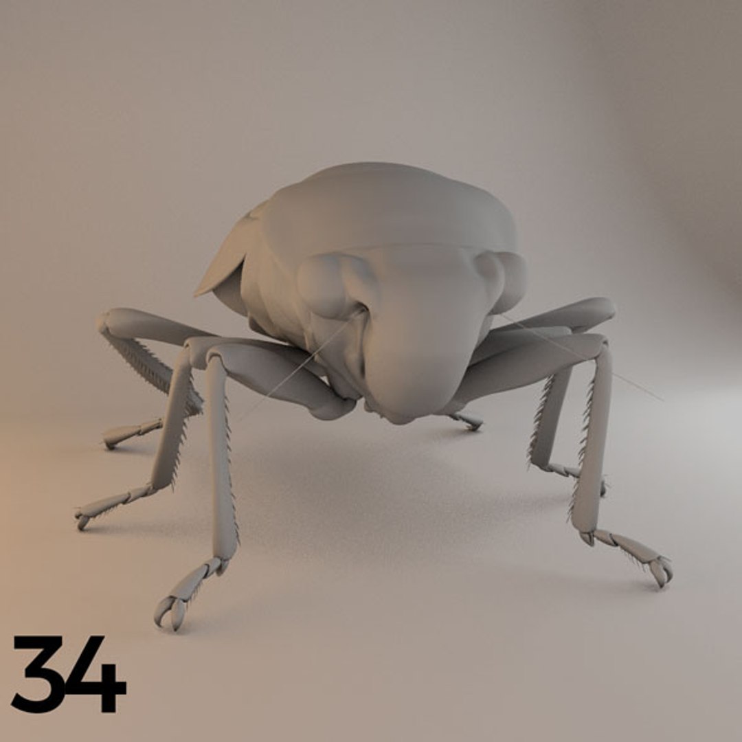 - pack bees insects model https://p.turbosquid.com/ts-thumb/0V/ktorqs/je6vJPtR/insect_pack_34_a_d/jpg/1563750293/1920x1080/fit_q87/443a4527479bc0664fc48a9f61af45bde4535143/insect_pack_34_a_d.jpg