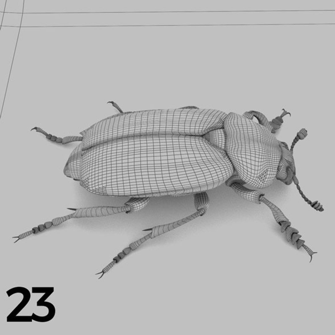 - pack bees insects model https://p.turbosquid.com/ts-thumb/0V/ktorqs/kOgIqxhh/insect_pack_23_b_w/jpg/1563750292/1920x1080/fit_q87/9d1645b993a95a69a2785f0f4342e6ed0ab36188/insect_pack_23_b_w.jpg