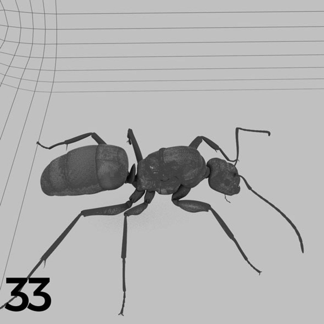 - pack bees insects model https://p.turbosquid.com/ts-thumb/0V/ktorqs/kyySyFnP/insect_pack_33_b_w/jpg/1563750293/1920x1080/fit_q87/9eb9f5091a47cee377f91600a8ff467615005c96/insect_pack_33_b_w.jpg