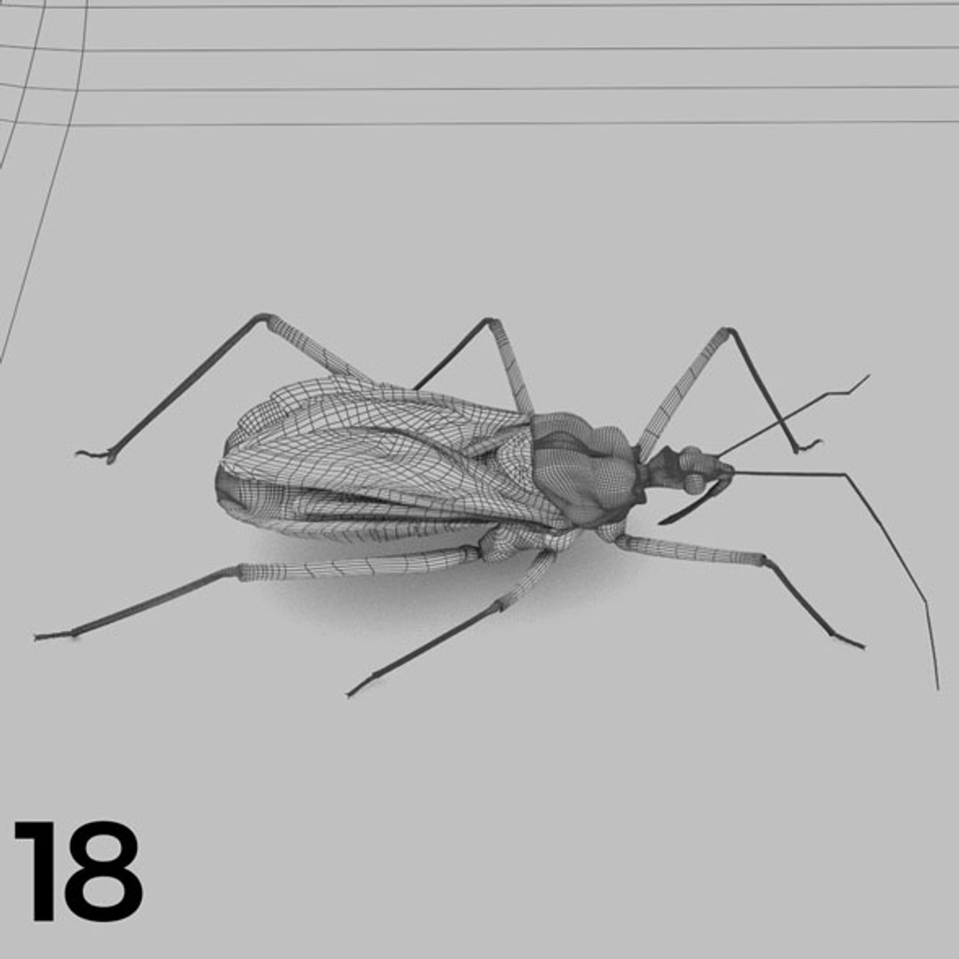 - pack bees insects model https://p.turbosquid.com/ts-thumb/0V/ktorqs/lL478QDh/insect_pack_18_b_w/jpg/1563750292/1920x1080/fit_q87/c873270c9d317bc317dd686720bb2bd9e3d6569d/insect_pack_18_b_w.jpg