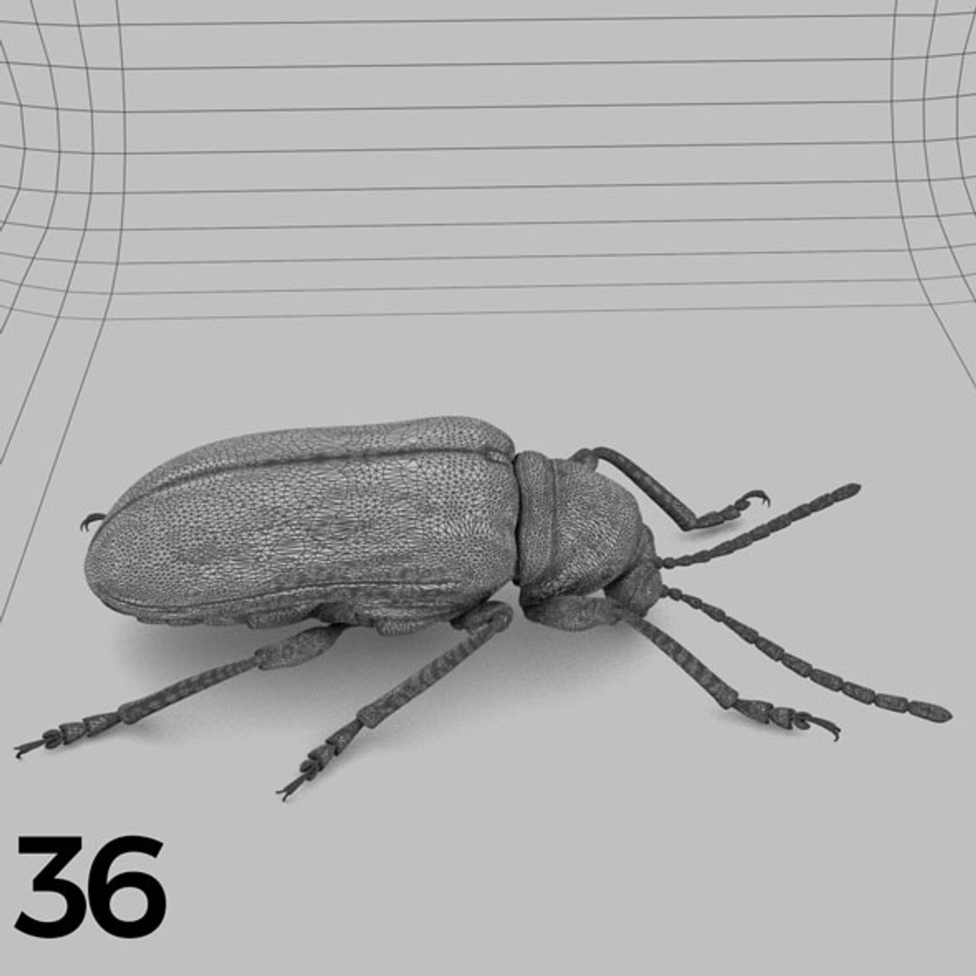 - pack bees insects model https://p.turbosquid.com/ts-thumb/0V/ktorqs/lrVpgNgD/insect_pack_36_b_w/jpg/1563750293/1920x1080/fit_q87/380e1d6f51dfb386a5b0af152510fbd44baabf01/insect_pack_36_b_w.jpg