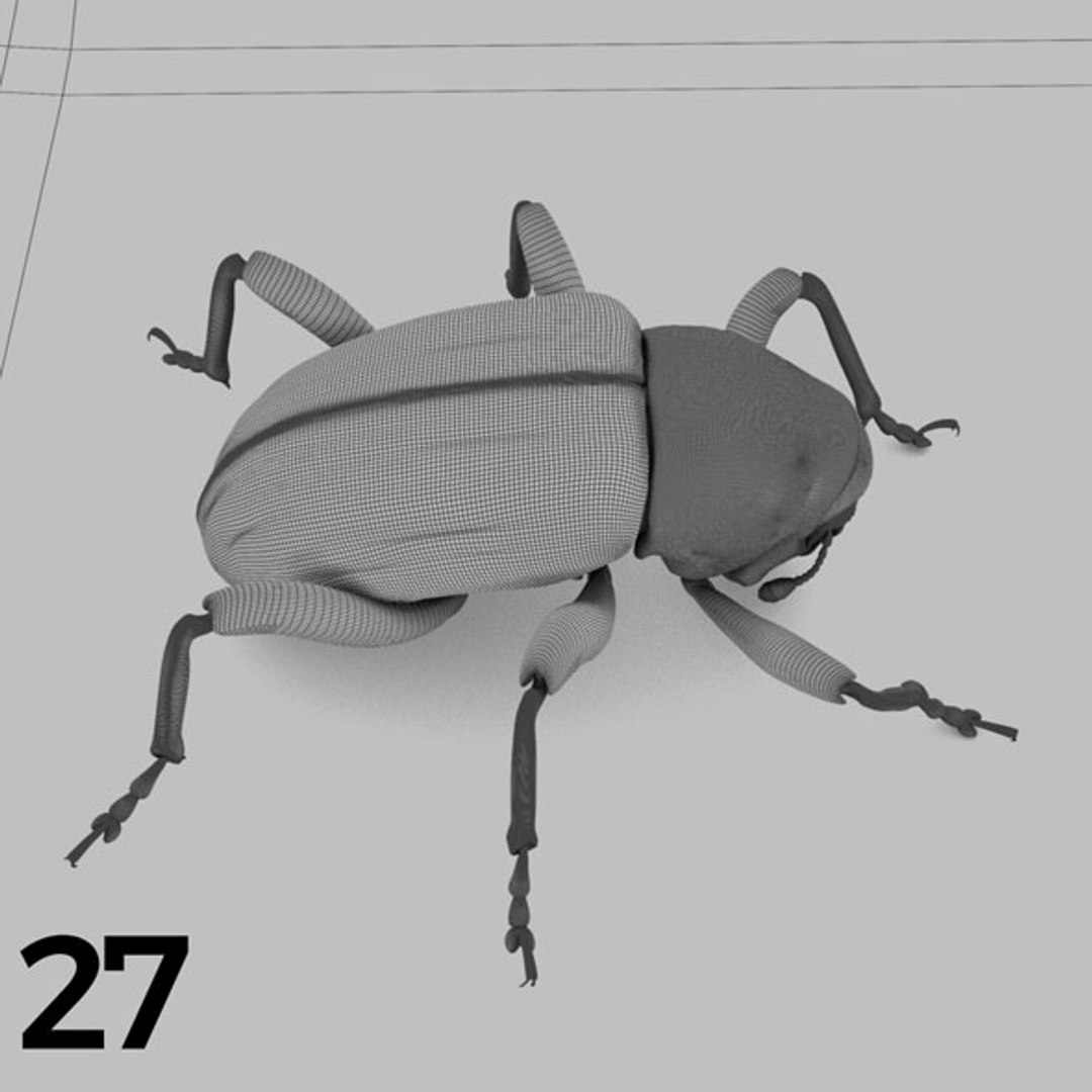 - pack bees insects model https://p.turbosquid.com/ts-thumb/0V/ktorqs/oLggyMoq/insect_pack_27_b_w/jpg/1563750292/1920x1080/fit_q87/70fda627e836d478b1b33da97d38053a8c4efa57/insect_pack_27_b_w.jpg