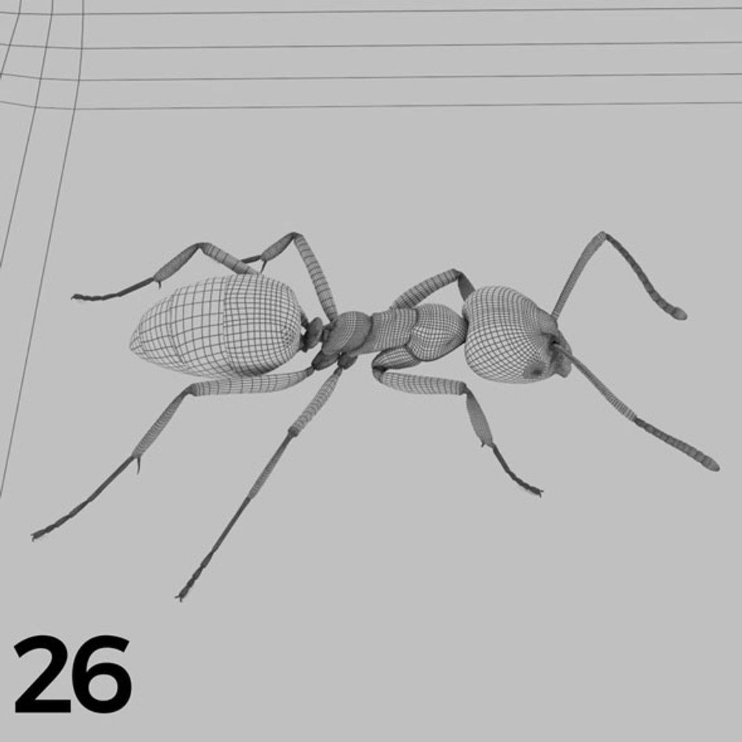 - pack bees insects model https://p.turbosquid.com/ts-thumb/0V/ktorqs/ok824f79/insect_pack_26_b_w/jpg/1563750292/1920x1080/fit_q87/ff0f121d9cf652b805961afc2d1ca506814da227/insect_pack_26_b_w.jpg