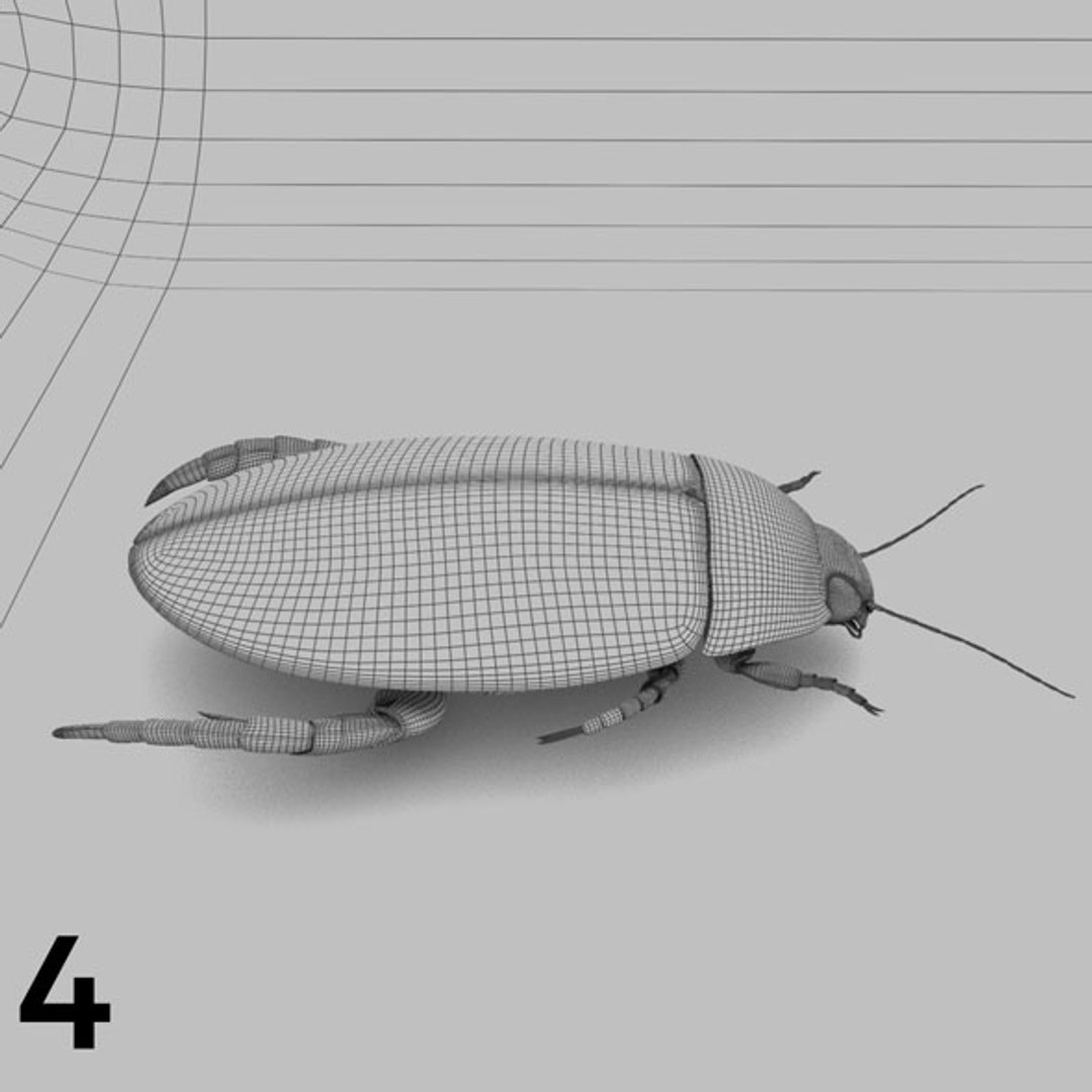 - pack bees insects model https://p.turbosquid.com/ts-thumb/0V/ktorqs/os6xpIed/insect_pack_04_b_w/jpg/1563750291/1920x1080/fit_q87/3c7e7eb41e67cb2fa486307e5a6ce2f9151dd261/insect_pack_04_b_w.jpg