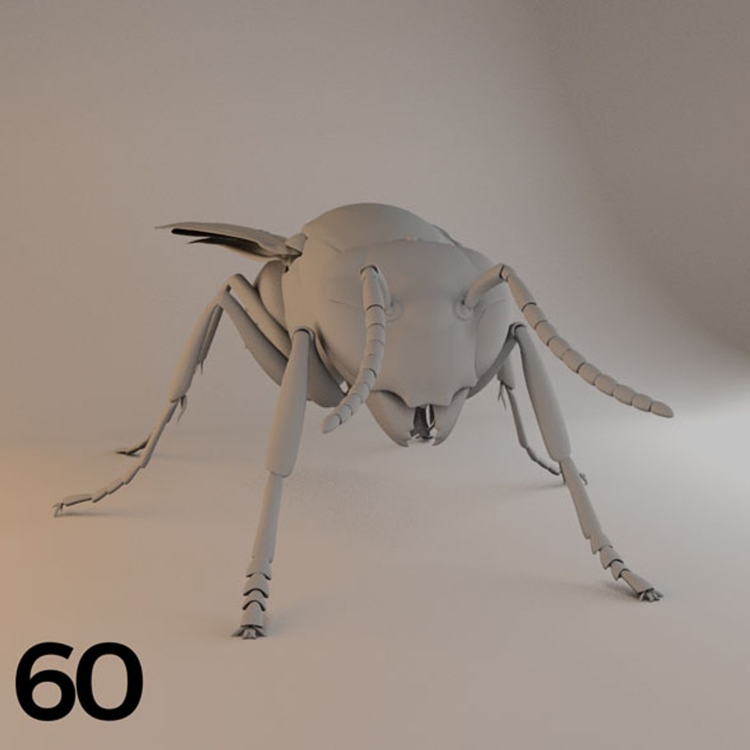- pack bees insects model https://p.turbosquid.com/ts-thumb/0V/ktorqs/ouwApSAN/insect_pack_60_a_d/jpg/1563750295/1920x1080/fit_q87/ae3d1aced73d5bf1d249d048b4816eec4b94eb97/insect_pack_60_a_d.jpg