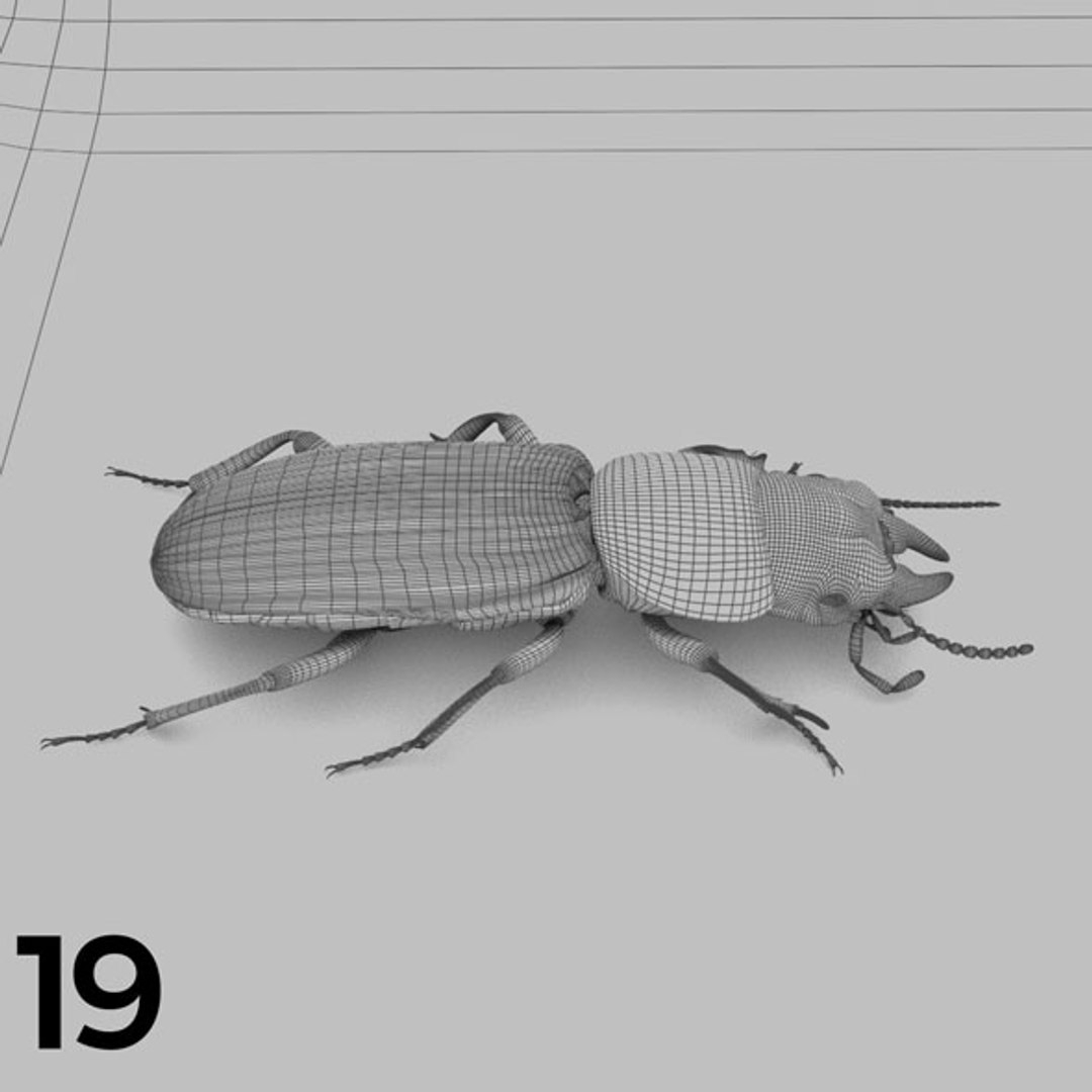 - pack bees insects model https://p.turbosquid.com/ts-thumb/0V/ktorqs/pV7GRSAK/insect_pack_19_b_w/jpg/1563750292/1920x1080/fit_q87/7fe9c88e4f920ae941596d2cc1df4f275dbd2aec/insect_pack_19_b_w.jpg