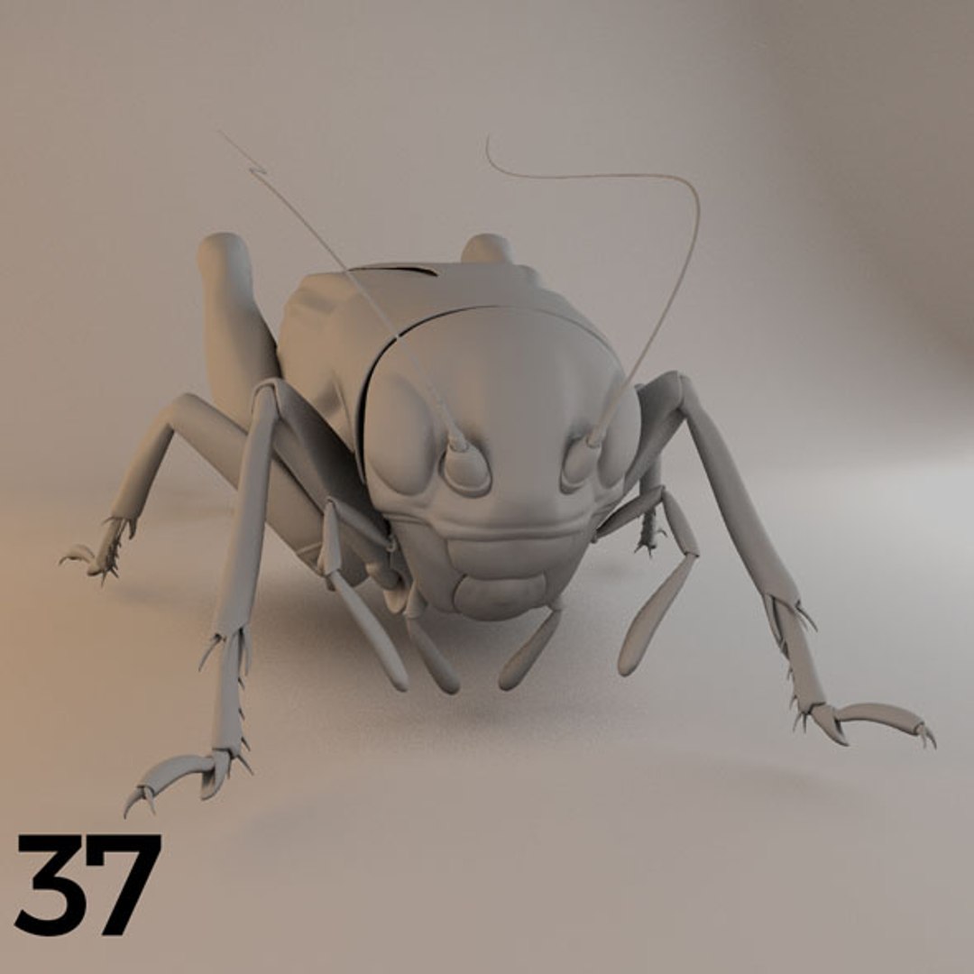 - pack bees insects model https://p.turbosquid.com/ts-thumb/0V/ktorqs/pqBIHzy4/insect_pack_37_a_d/jpg/1563750293/1920x1080/fit_q87/e2a44a52664b1100ddd731a14c6b34d5d0dee7c2/insect_pack_37_a_d.jpg