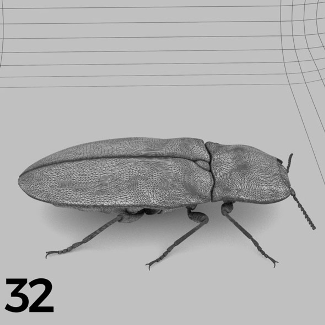 - pack bees insects model https://p.turbosquid.com/ts-thumb/0V/ktorqs/q1FsQBto/insect_pack_32_b_w/jpg/1563750293/1920x1080/fit_q87/0ae46b908d6b8b0ab88d06ab0396f59e386314b1/insect_pack_32_b_w.jpg