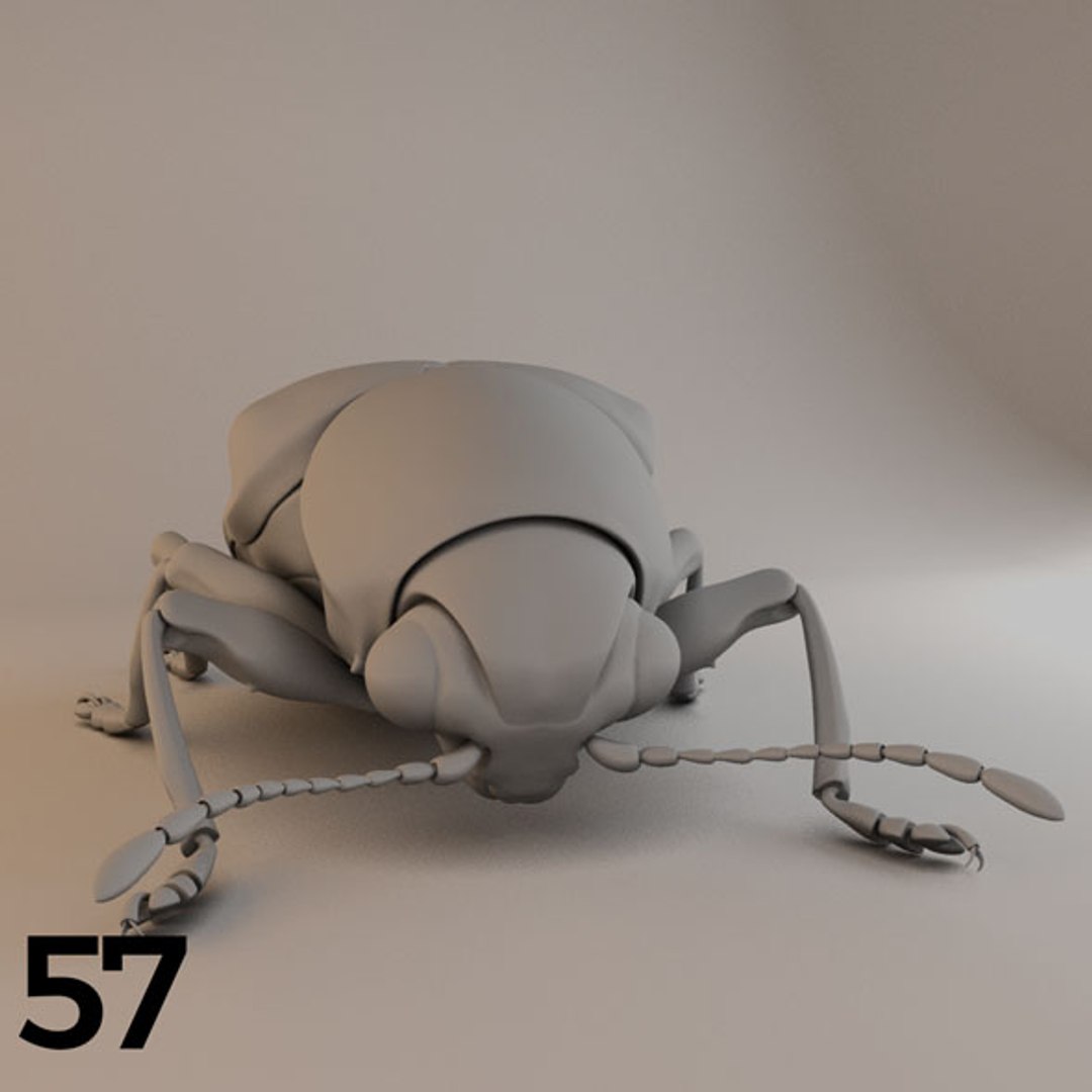 - pack bees insects model https://p.turbosquid.com/ts-thumb/0V/ktorqs/rzbgQOI0/insect_pack_57_a_d/jpg/1563750295/1920x1080/fit_q87/c9220a68aa9c206c83a30d6d763a161314b2fd7a/insect_pack_57_a_d.jpg