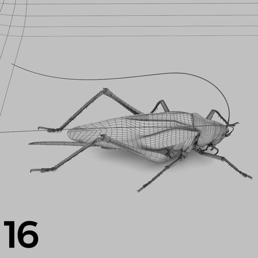 - pack bees insects model https://p.turbosquid.com/ts-thumb/0V/ktorqs/tOpydntR/insect_pack_16_b_w/jpg/1563750292/1920x1080/fit_q87/c4b64e1aac21cbfc0cfb1733ef101044da91dfc0/insect_pack_16_b_w.jpg