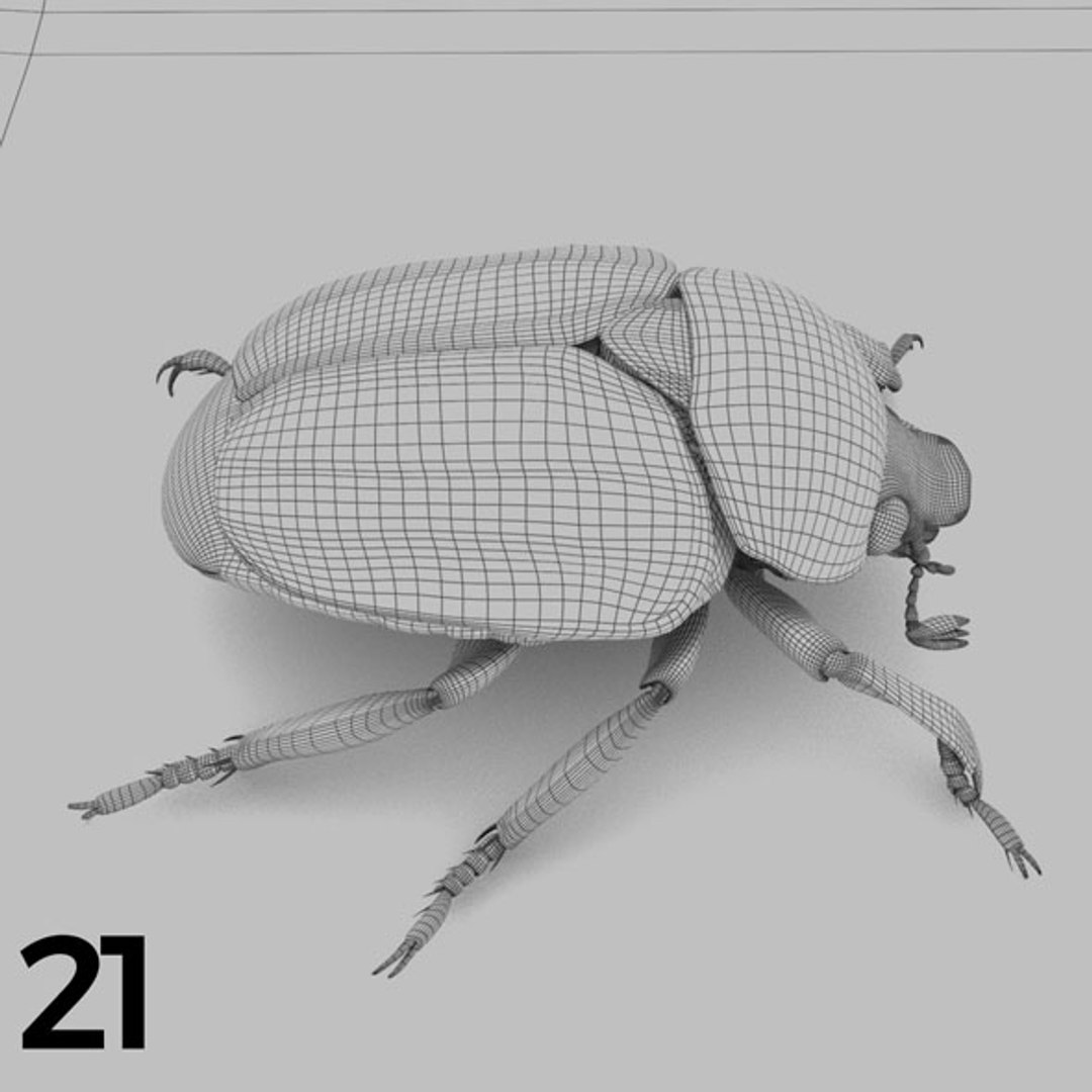 - pack bees insects model https://p.turbosquid.com/ts-thumb/0V/ktorqs/uC8oZhdQ/insect_pack_21_b_w/jpg/1563750292/1920x1080/fit_q87/863ee2acd58415498ce8e2c2d524f477fc8f1242/insect_pack_21_b_w.jpg