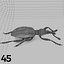 Insects and Beetles Pack - 60 pcs