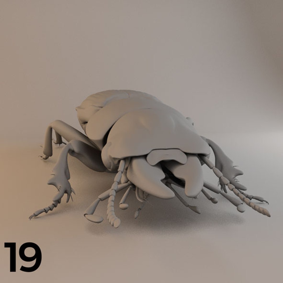 - pack bees insects model https://p.turbosquid.com/ts-thumb/0V/ktorqs/wIbrjWpX/insect_pack_19_a_d/jpg/1563750292/1920x1080/fit_q87/76d67c36464255963310357148c90102f2b10ed2/insect_pack_19_a_d.jpg