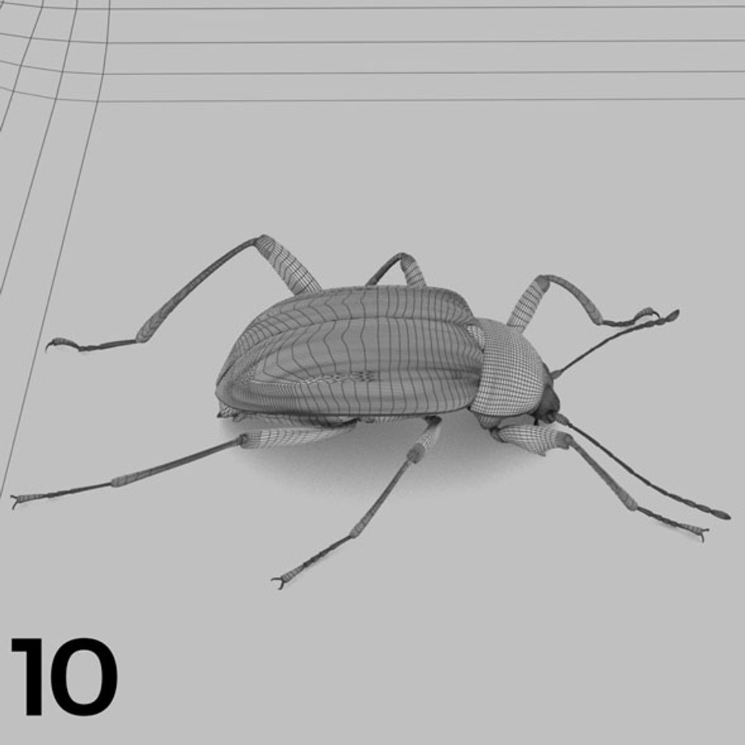 - pack bees insects model https://p.turbosquid.com/ts-thumb/0V/ktorqs/xWlmfEm0/insect_pack_10_b_w/jpg/1563750291/1920x1080/fit_q87/072c6f712933bb566bb65b5b327fffad796d41ab/insect_pack_10_b_w.jpg