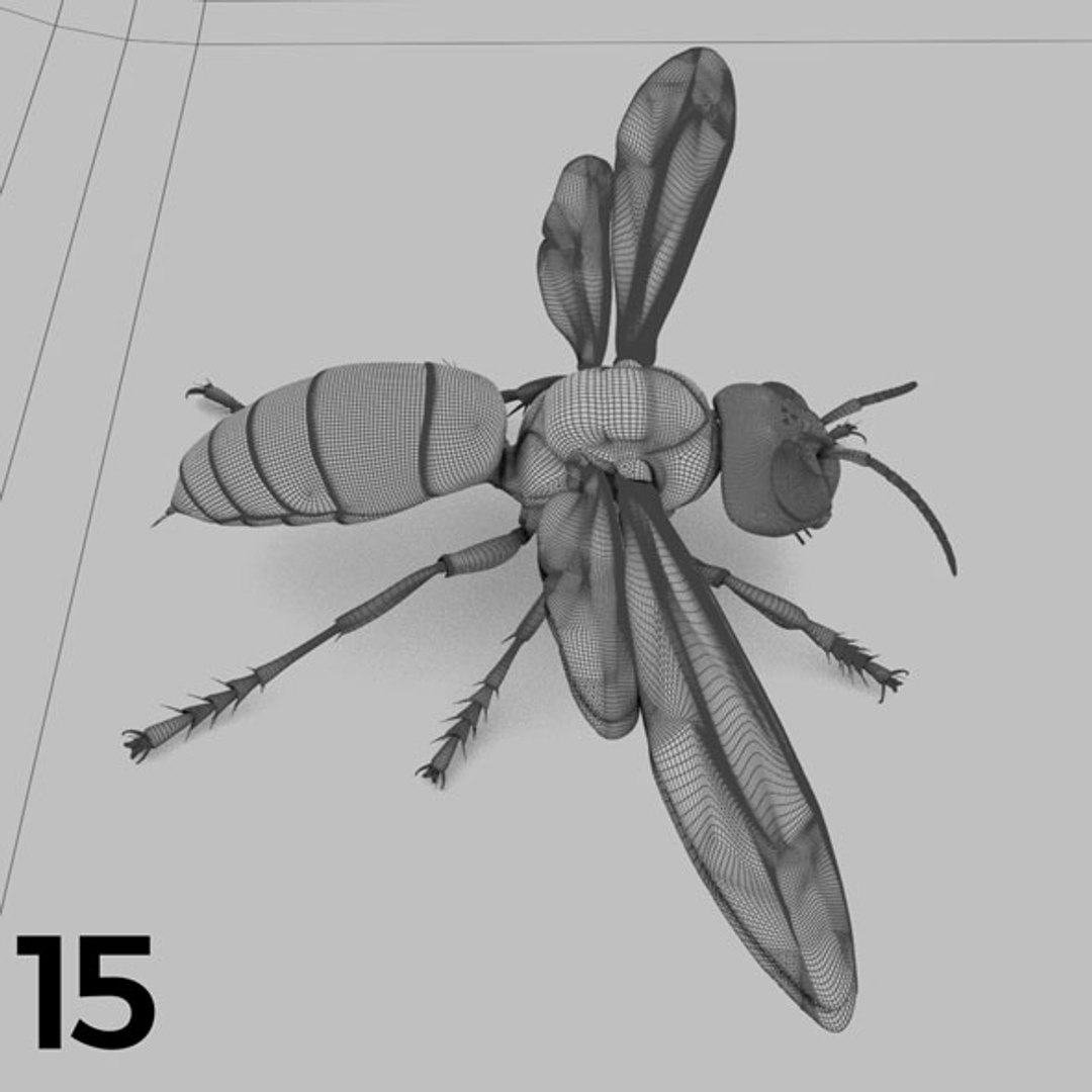 - pack bees insects model https://p.turbosquid.com/ts-thumb/0V/ktorqs/xiFAZEaV/insect_pack_15_b_w/jpg/1563750292/1920x1080/fit_q87/6b7352f1f8b98ab9d95c6a047bebbfc225b13902/insect_pack_15_b_w.jpg