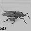 Insects and Beetles Pack - 60 pcs