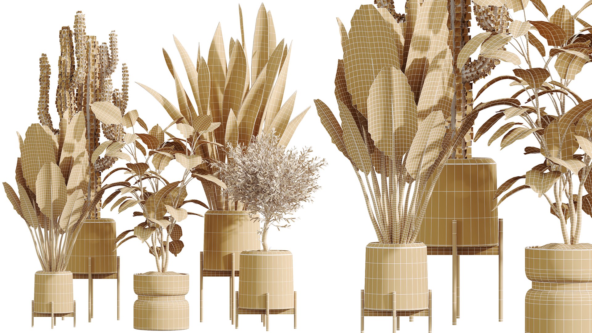 AV Indoor Plants Set 434 Olive Tree and Ficus lyrata and Ficus Beliza and Cactus Euphorbia model https://p.turbosquid.com/ts-thumb/0V/lfBmhQ/u9/07/png/1762764110/1920x1080/fit_q87/a446ac61ff361bdf25cb49711381ba38a14c491a/07.jpg