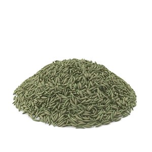 Fennel Seeds 3D model