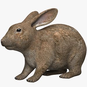 3ds max hare