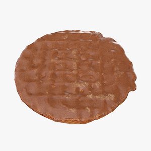 Chocolate Oat Biscuit
