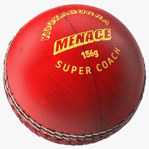 3D Cricket Ball Kookaburra Menace